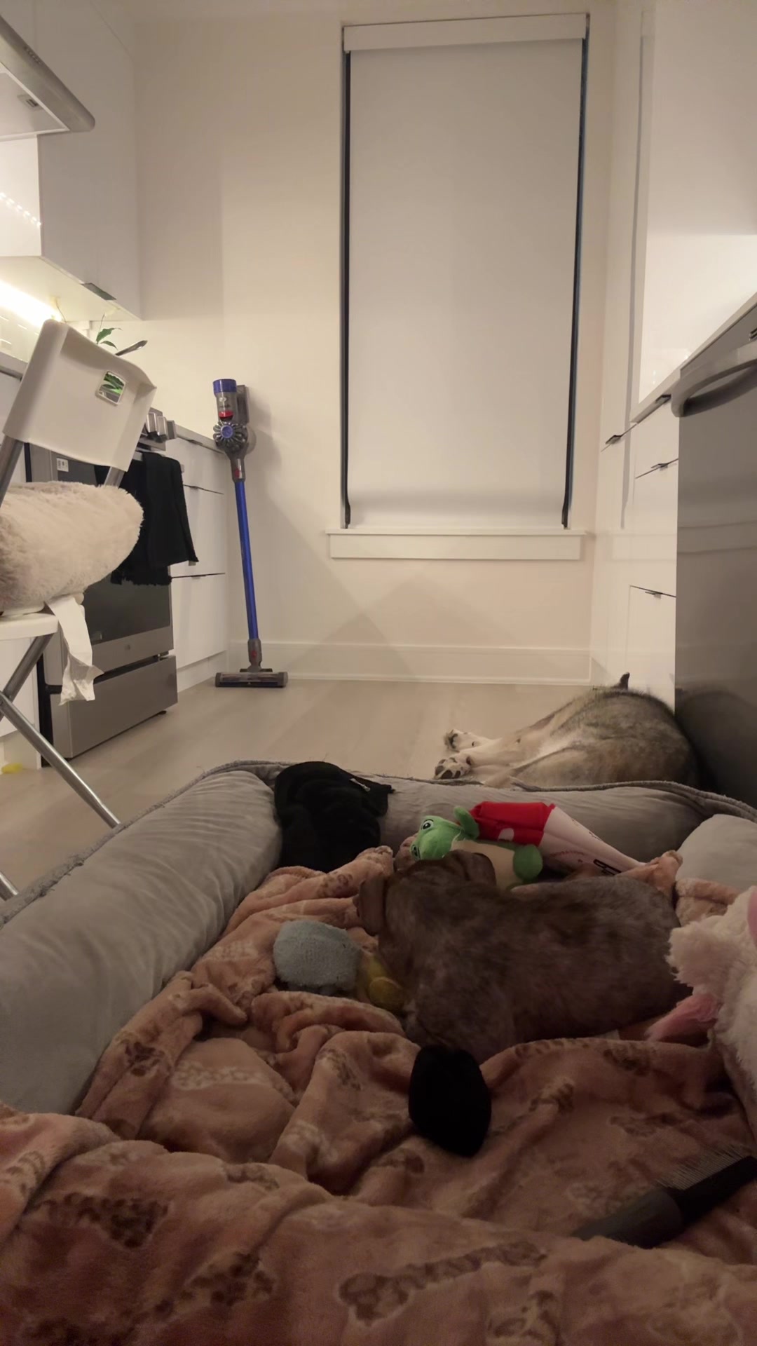 @Diem