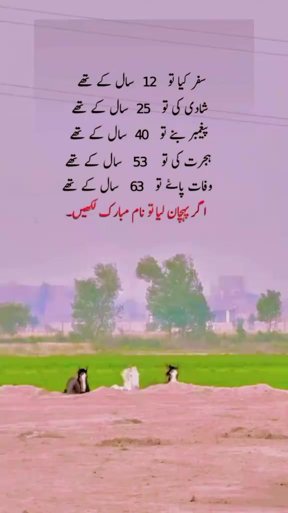 @M.JAVED ANSARI