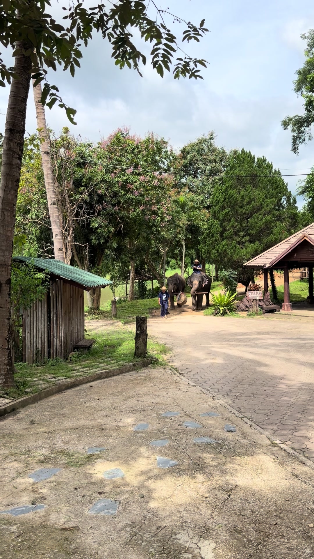@Qvy Boonchanawiwat