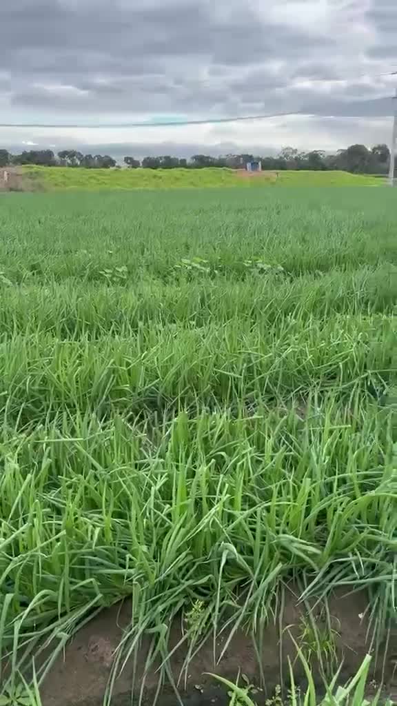 @Farmers Pick