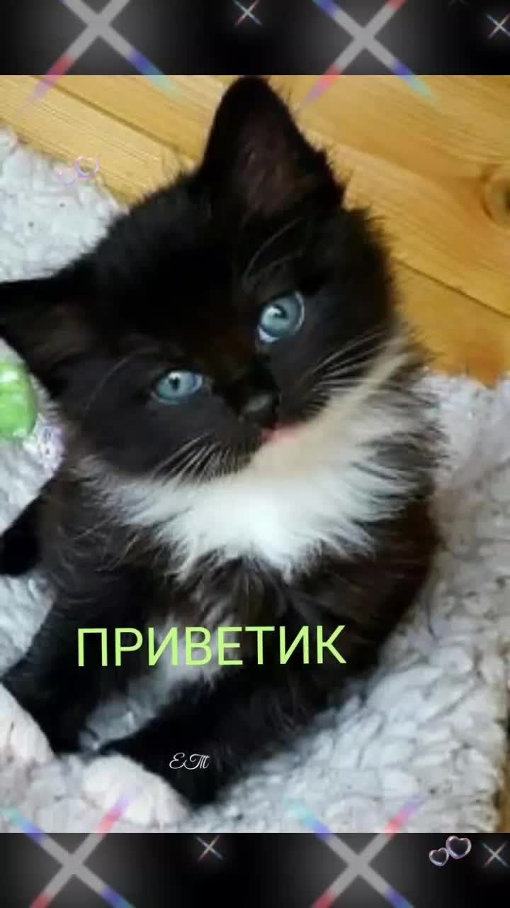 @Елена