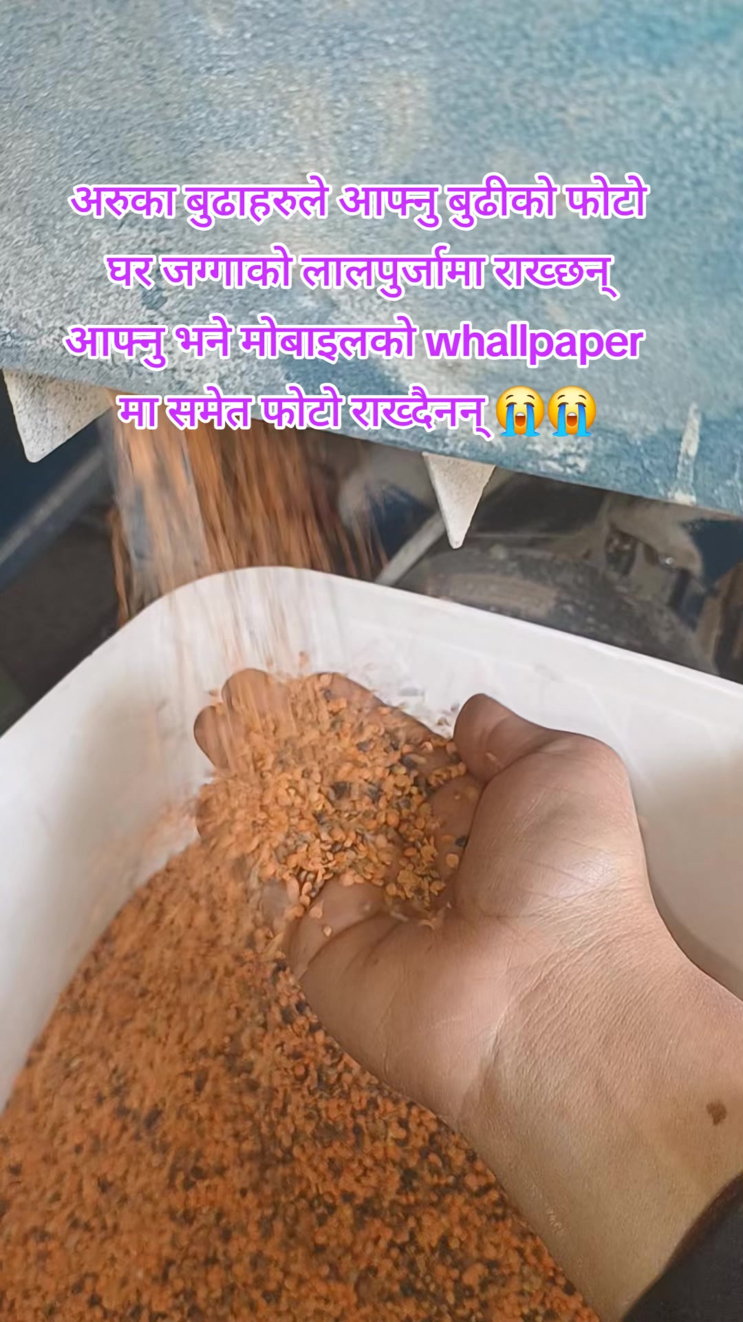@manjushree❤️