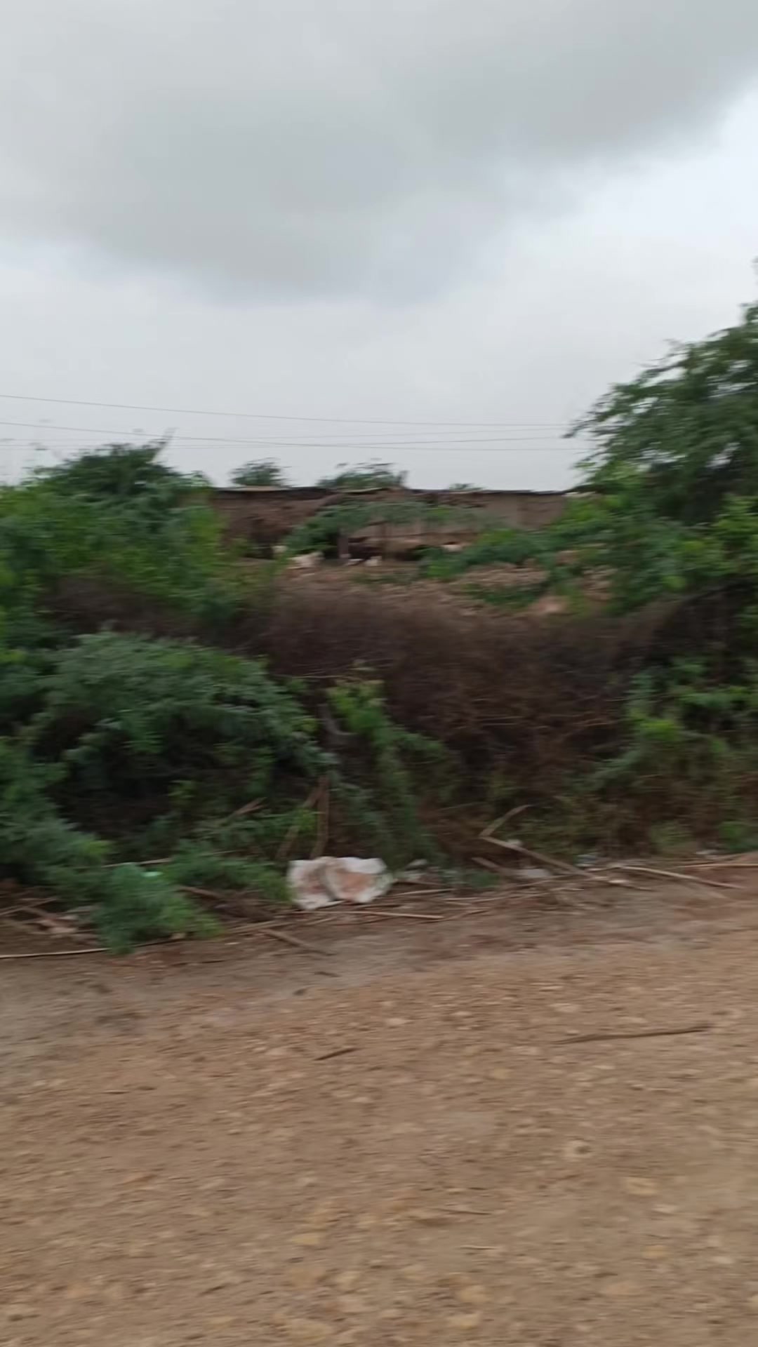 @Mukesh kumar kolhi