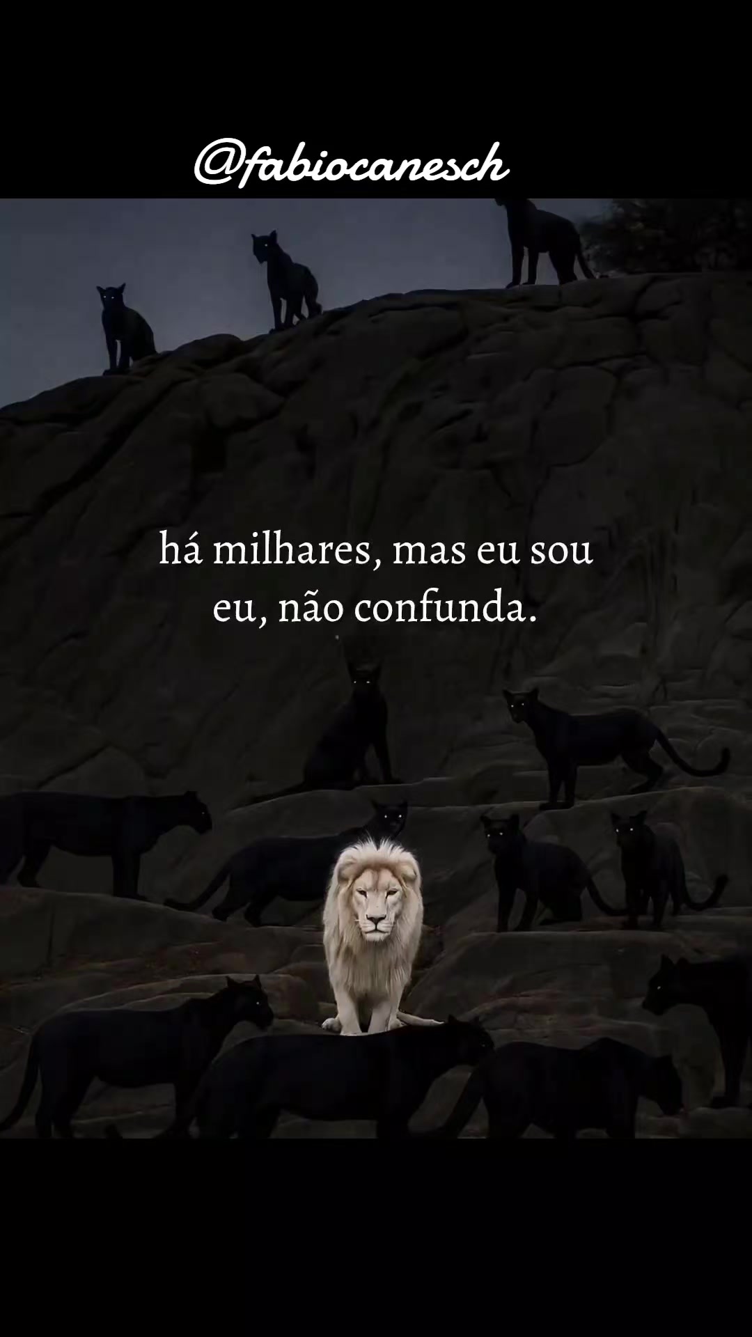 @Fábio caneschi de Oliveira