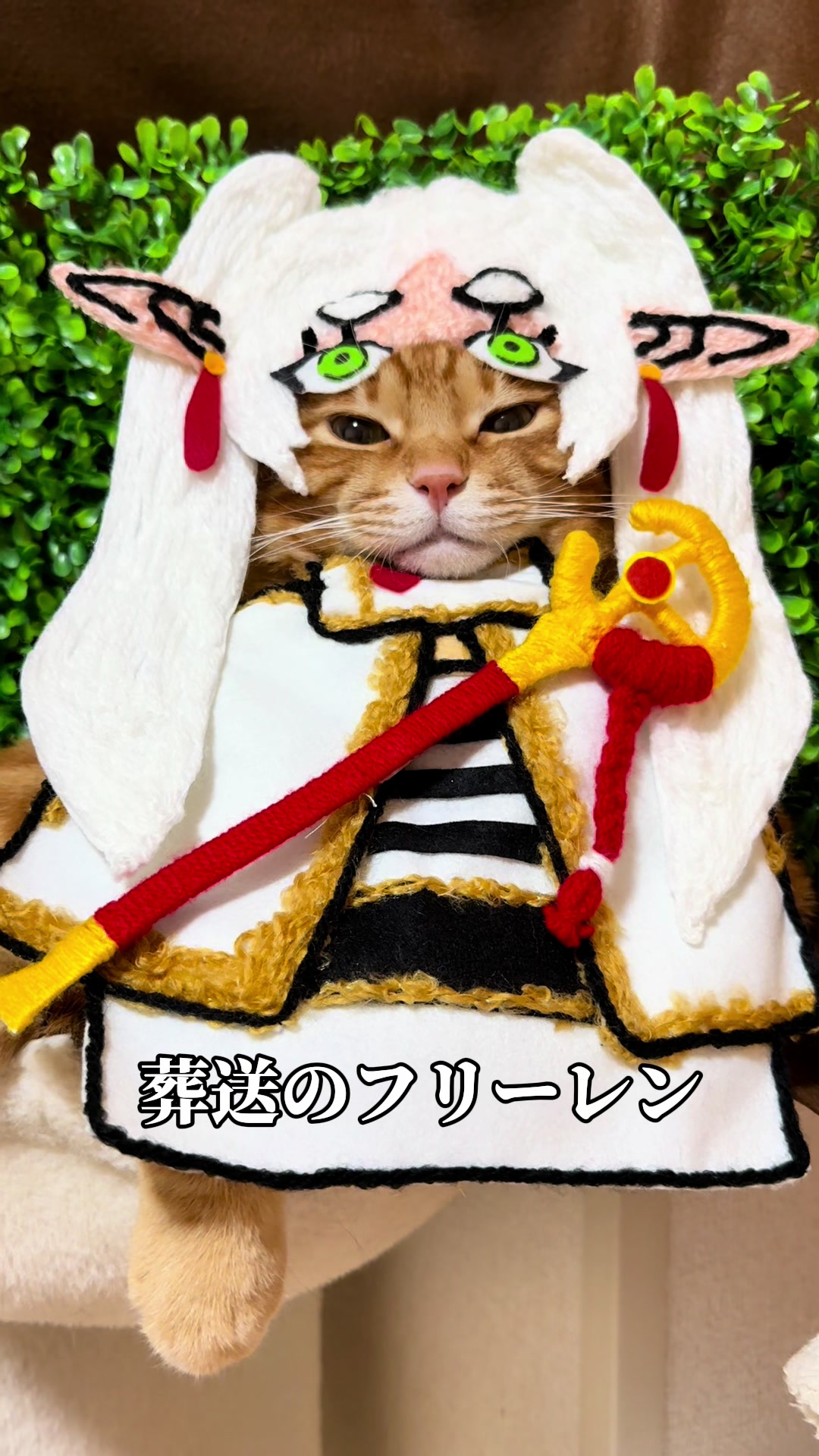 @猫の神様