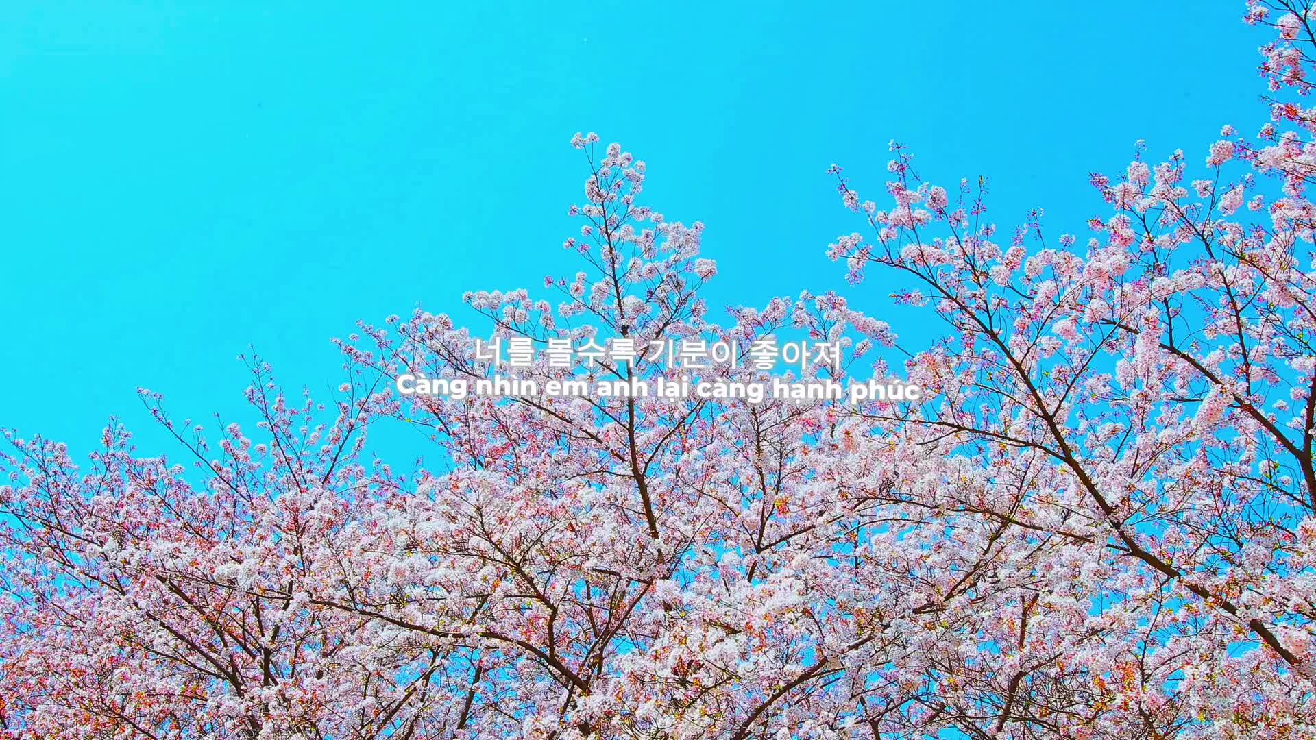 @𝑺𝒄𝒐𝒓𝒑𝒊𝒐🩵🌷
