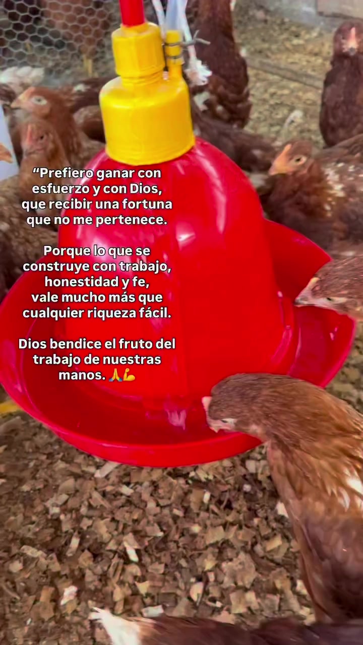 @Felipe miralles Tío Reycar
