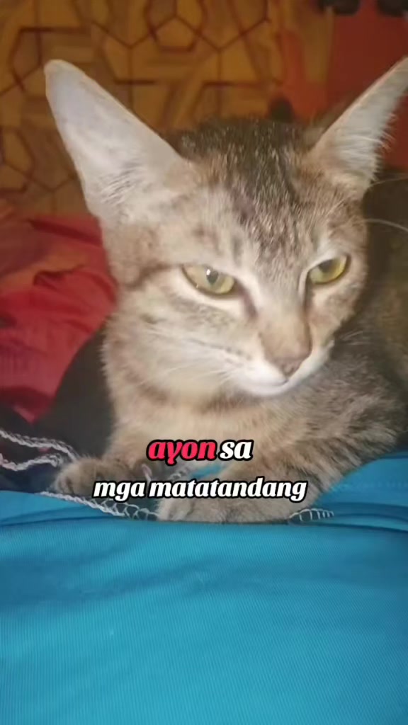 @imbo Kate