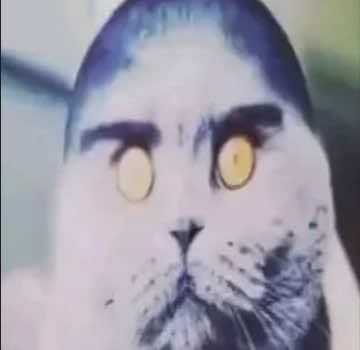 @ᄃYᄃX