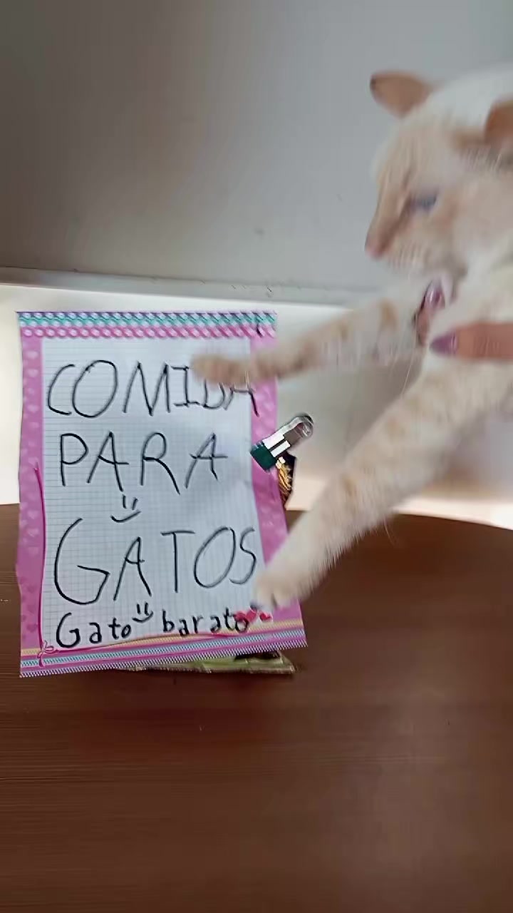 @dana_bernal_penafiel
