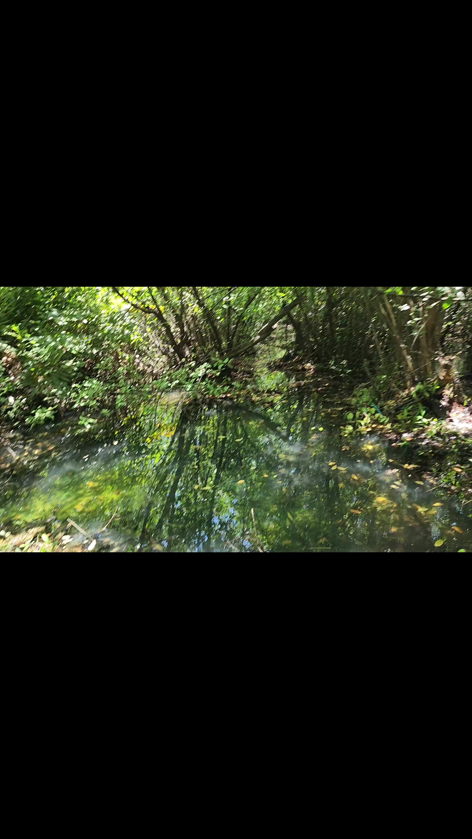 @Jamaica Adventures