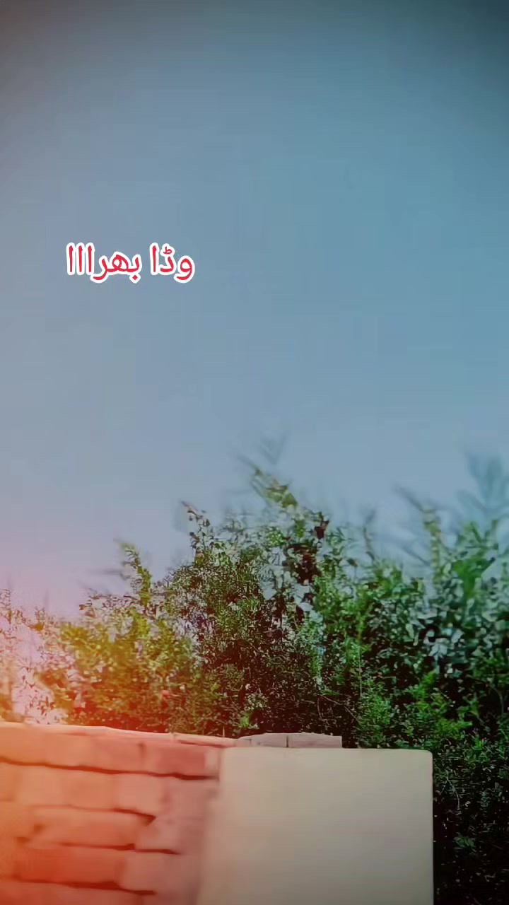 @🚩(ملک ثمر)🥀
