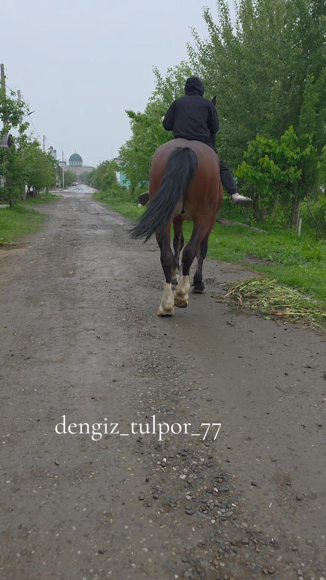@dengiz_tulpor_77