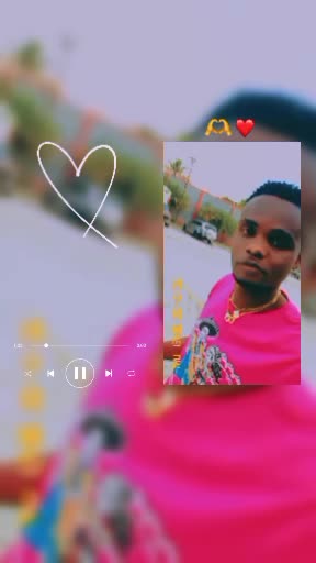 @smicky 509