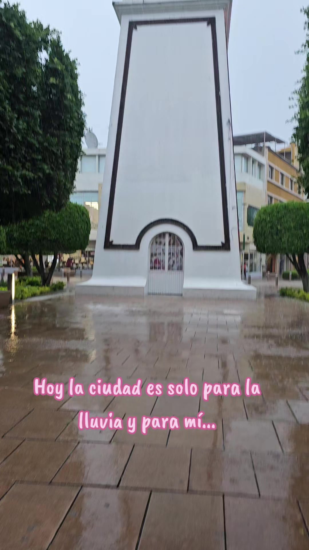 @Jimena Amp.