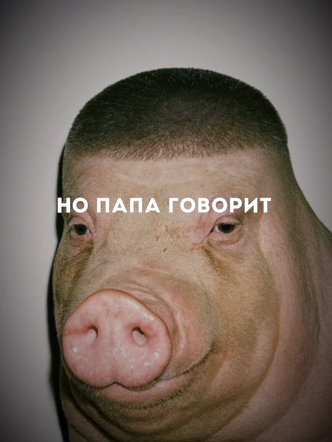 @биг свин🐖