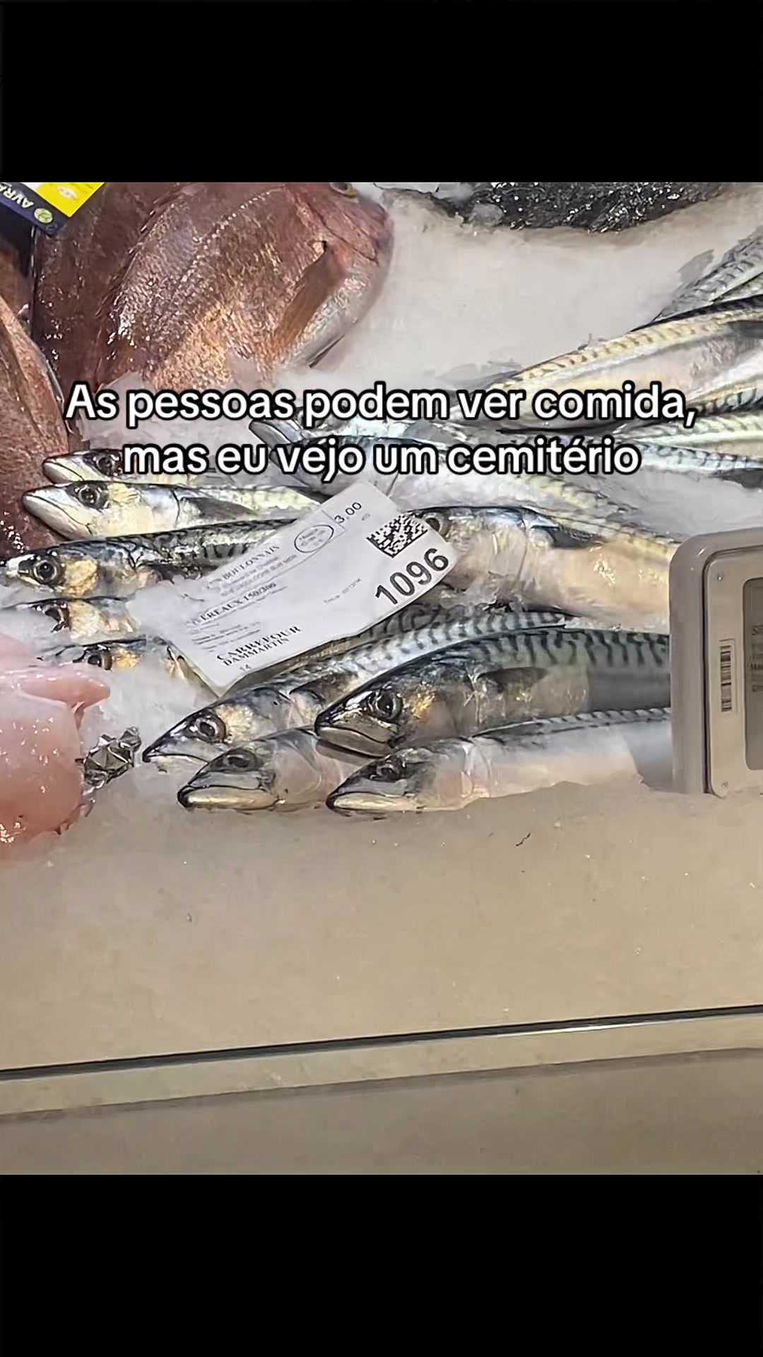 @Carne é cruel