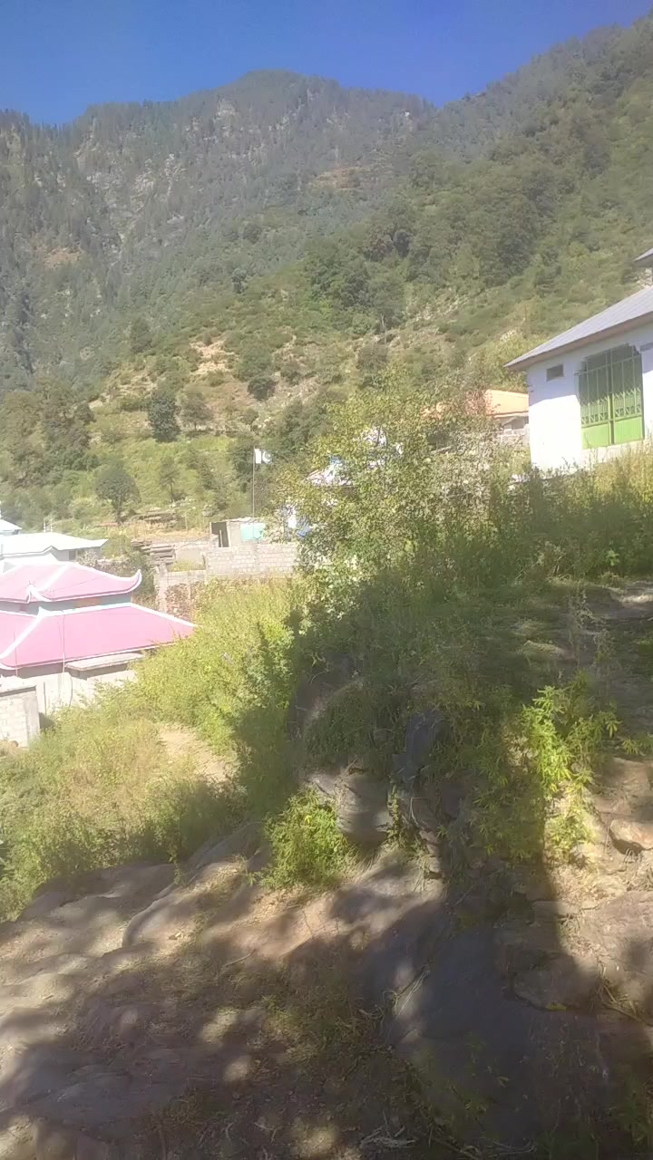 @Raja Reyaz