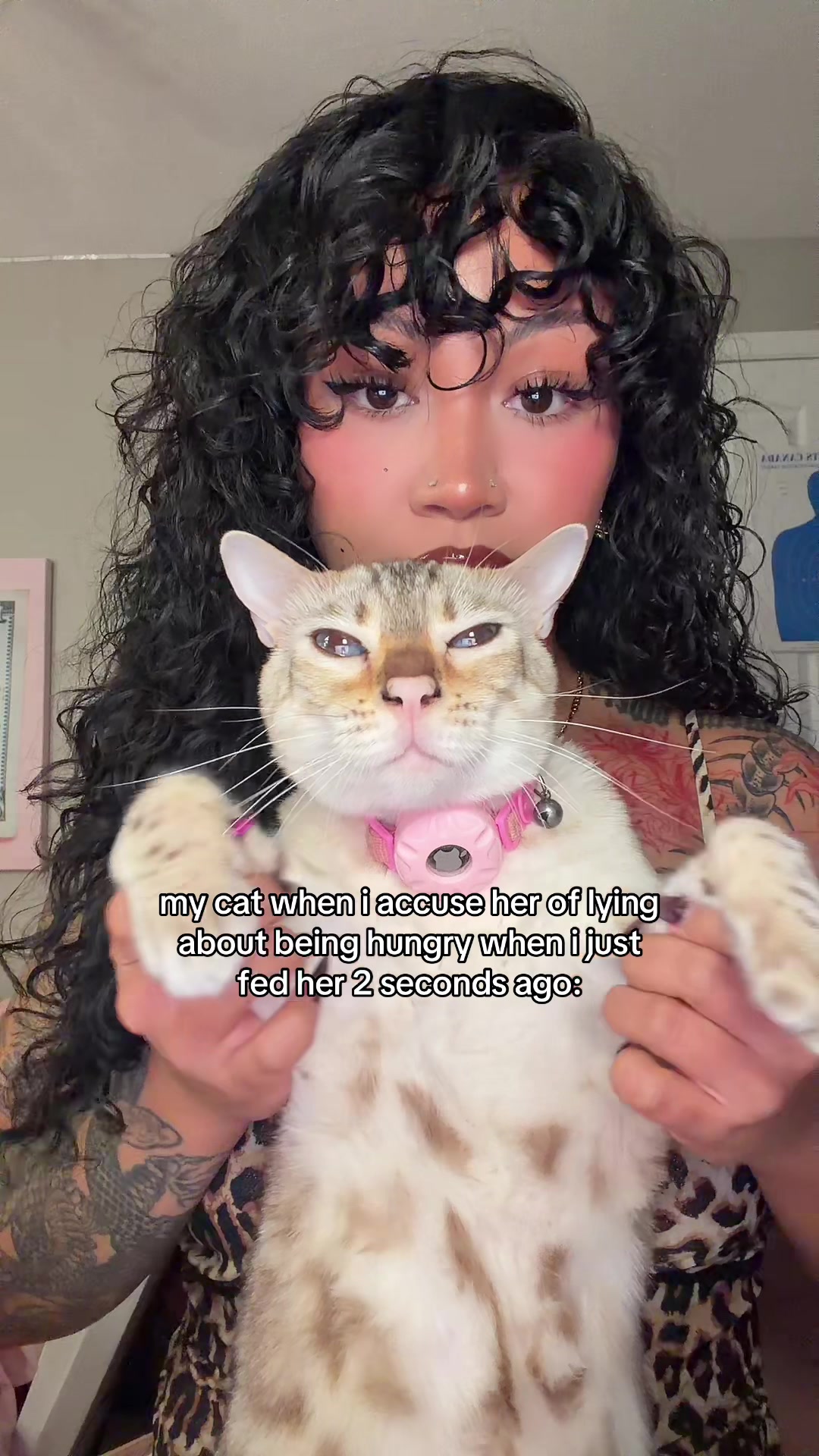 @Mirajane The Bengal🐾