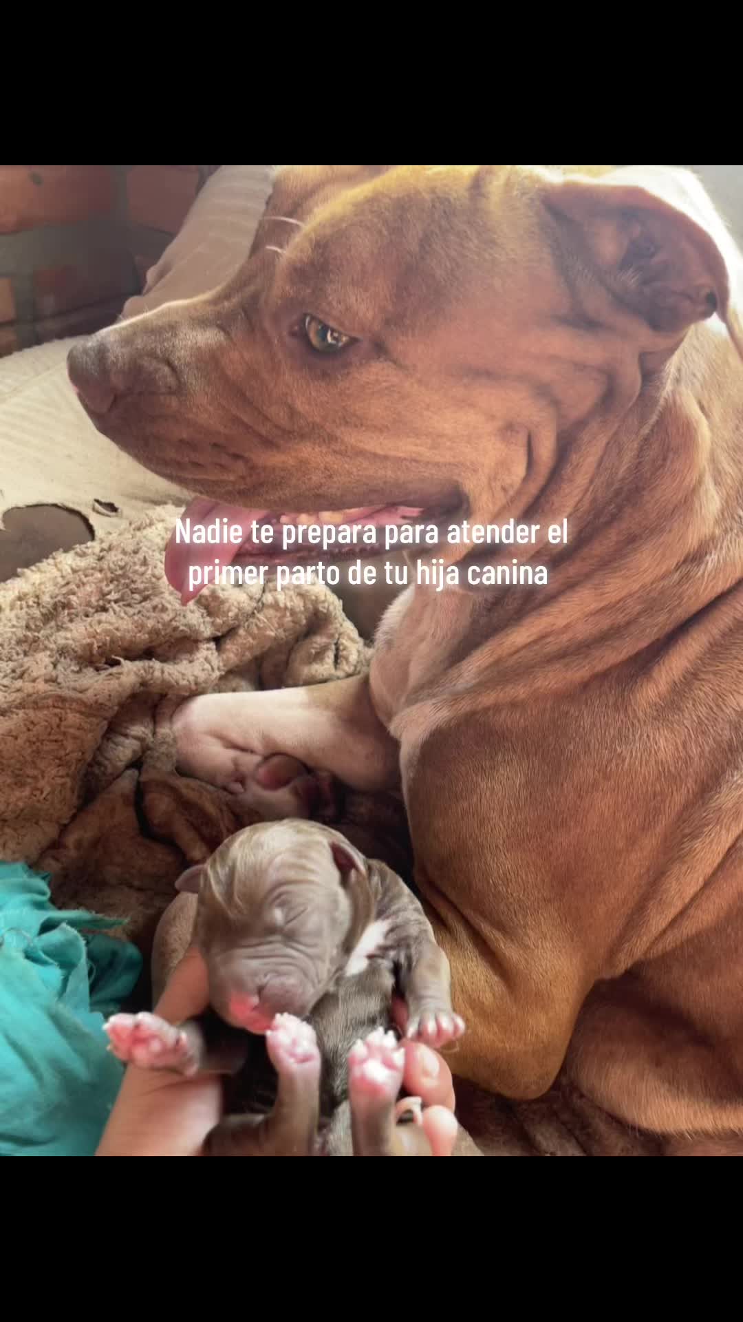 @Milagroscabral🦋🌸