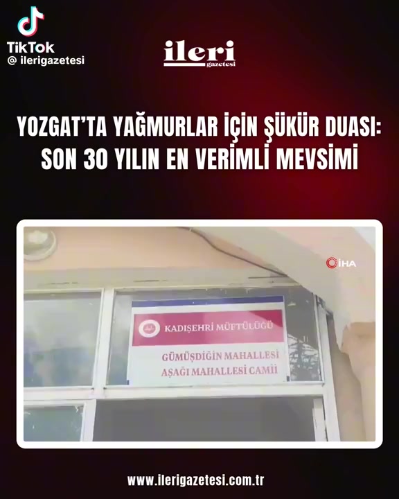@mesut s&uuml;zener