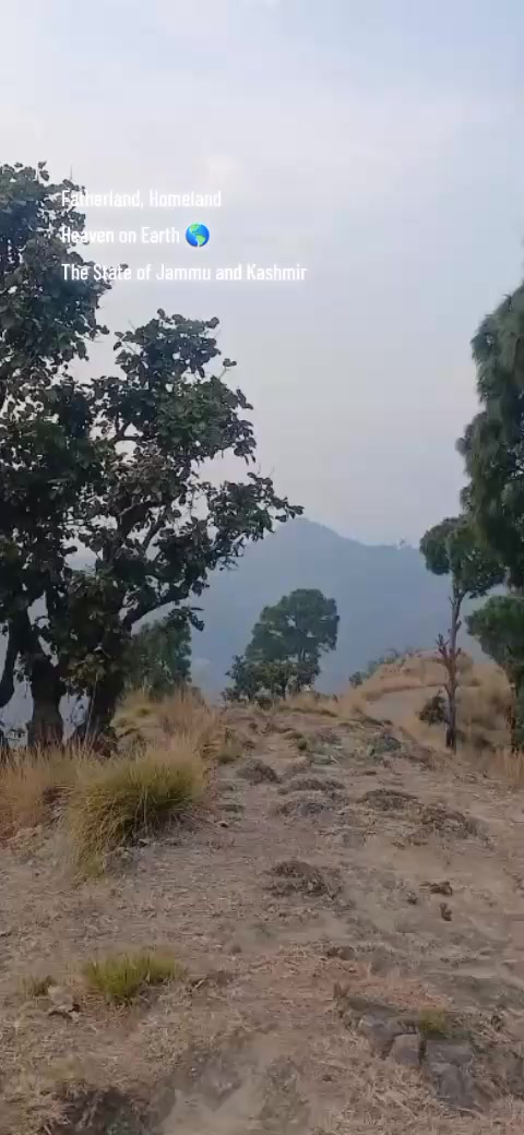 @Imran Mushtaq Chauhan