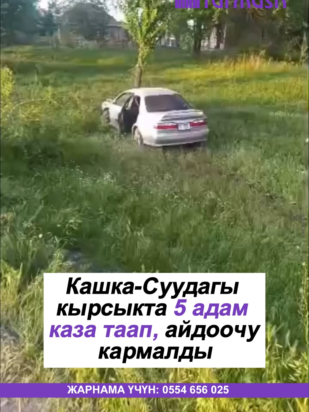 @turmush.kg__