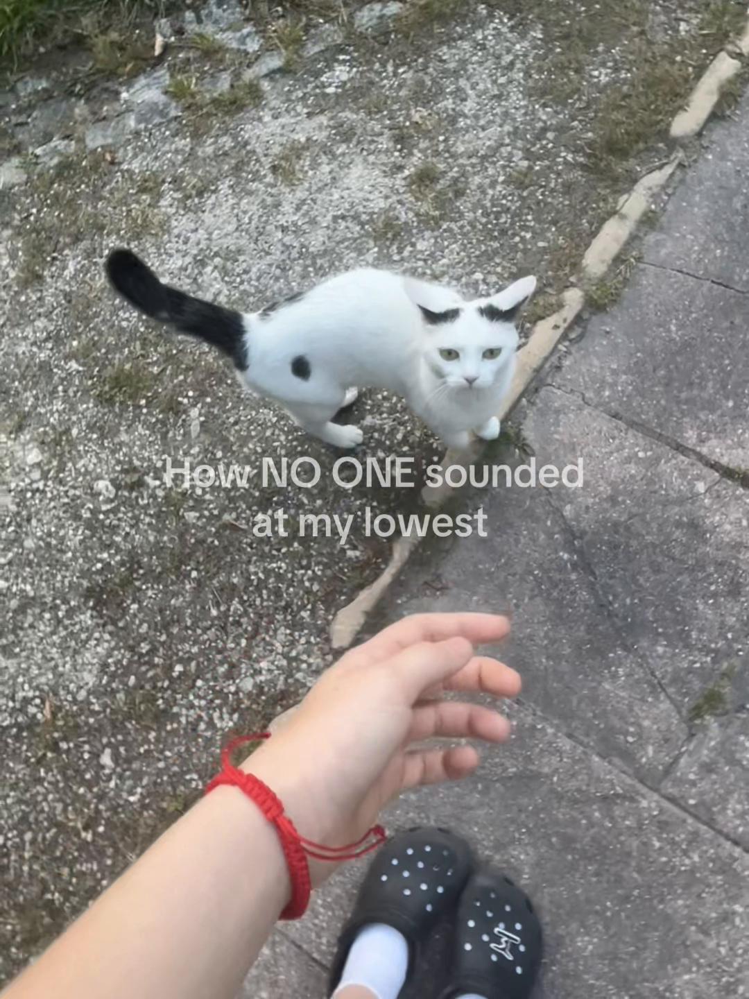 @⋆ ̊ ⋆★⋆ ̊ ⋆