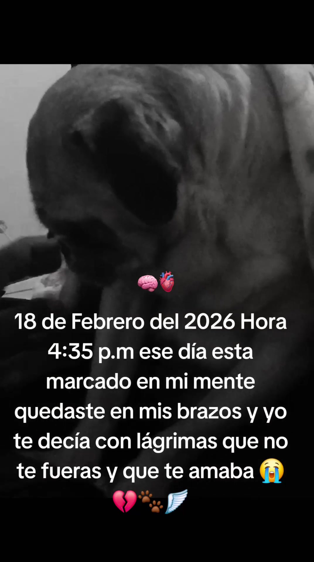 @daniiiiii0003