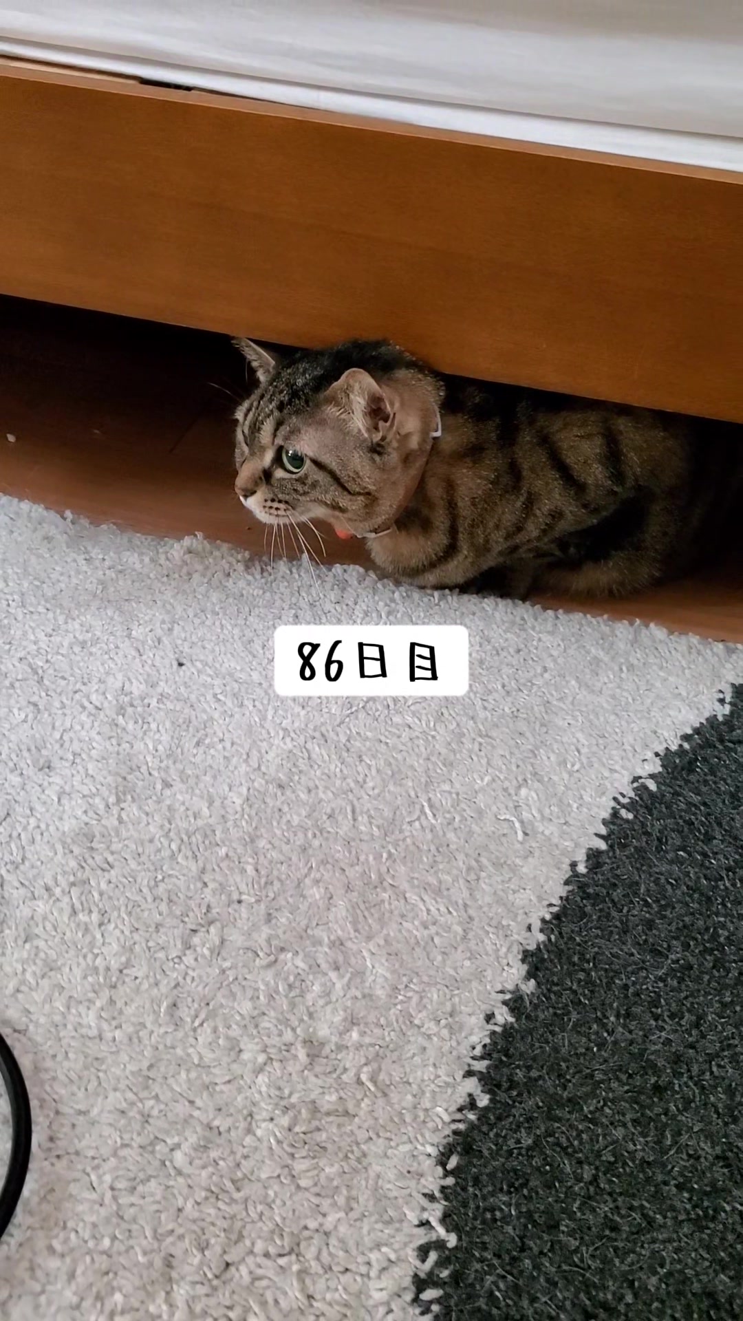 @😻kazuki😻