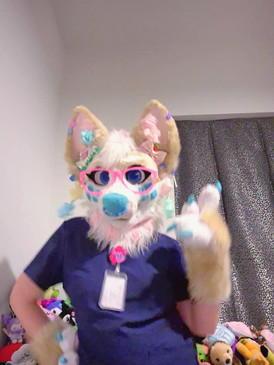 @CC the Corgi ๐ญ