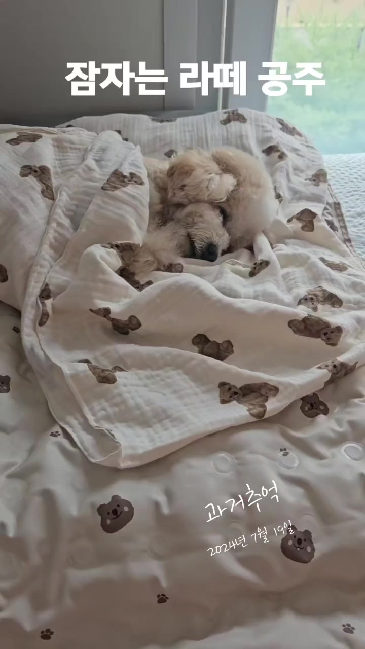 @예쁜라떼