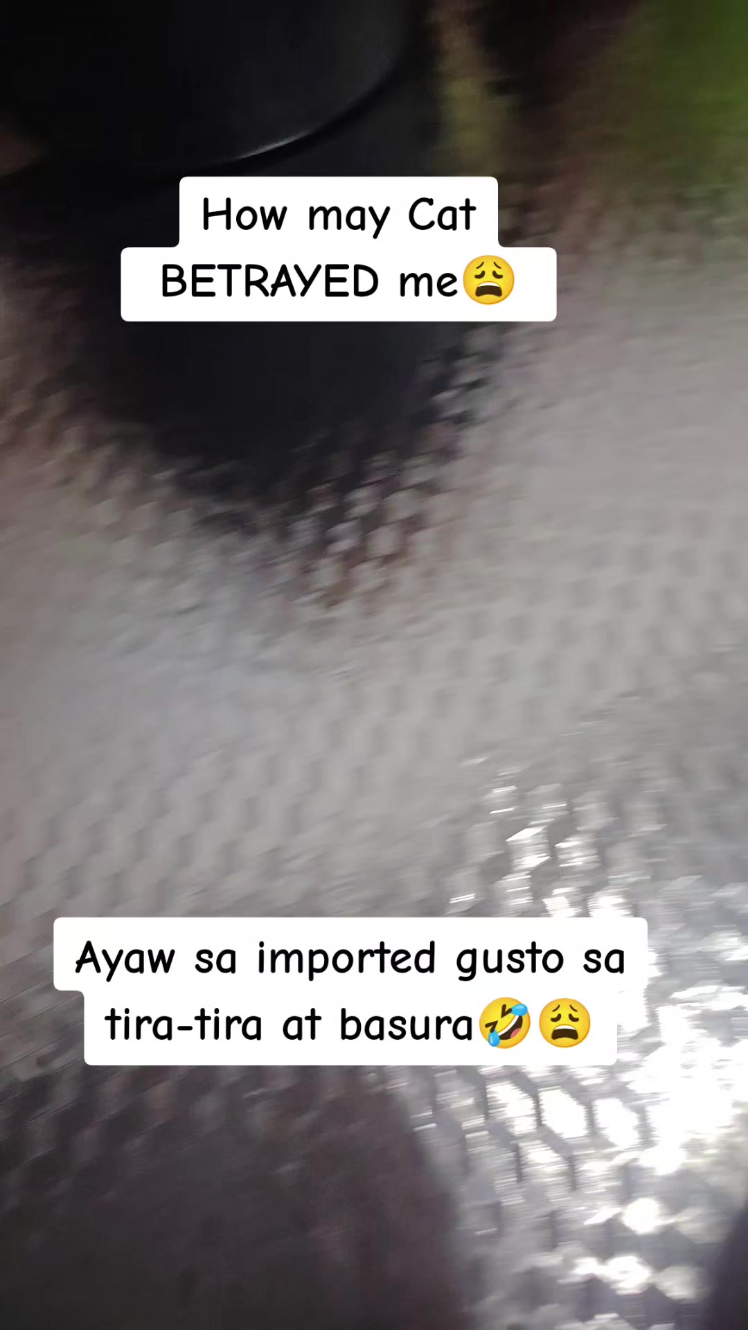 @Neressa❤️💫