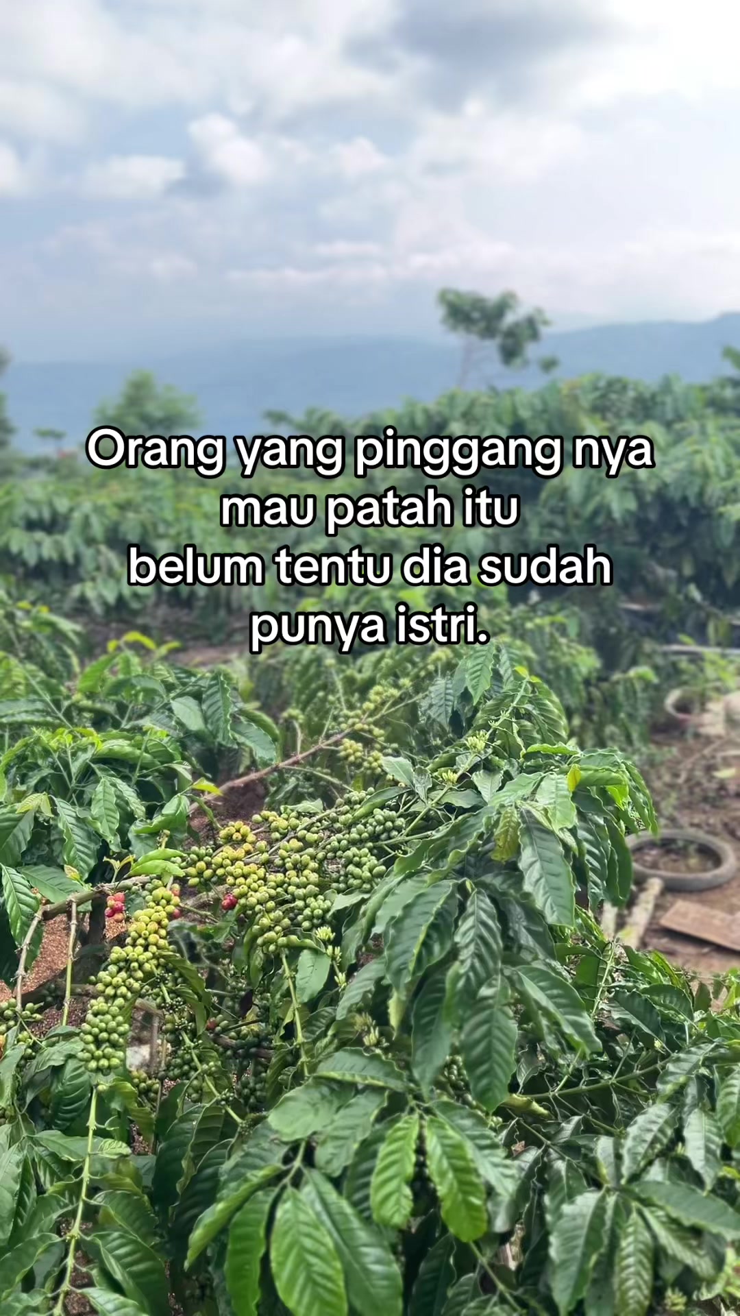 @Prof ☕️ MILENIAL