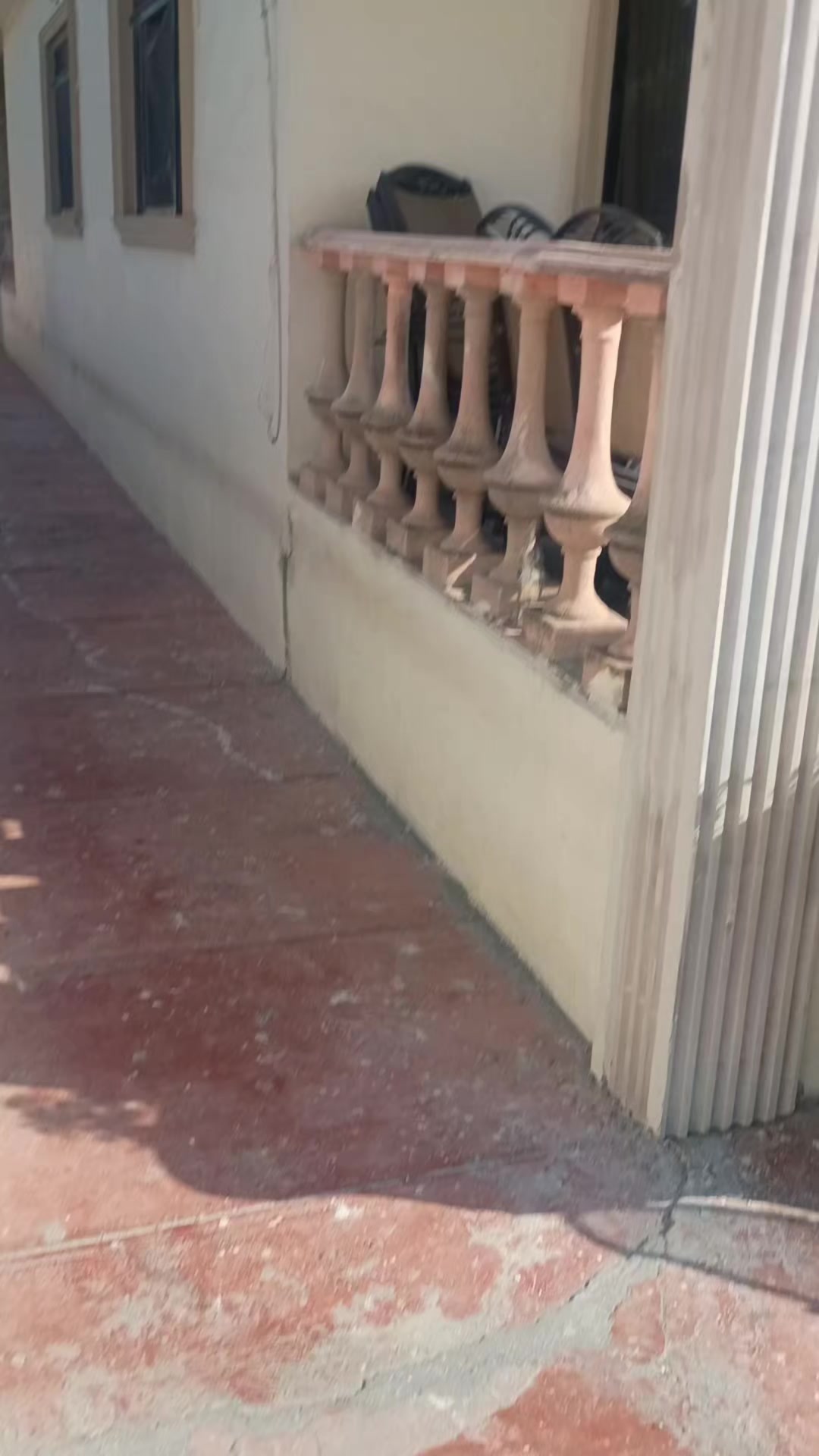 @el gibi en la obra