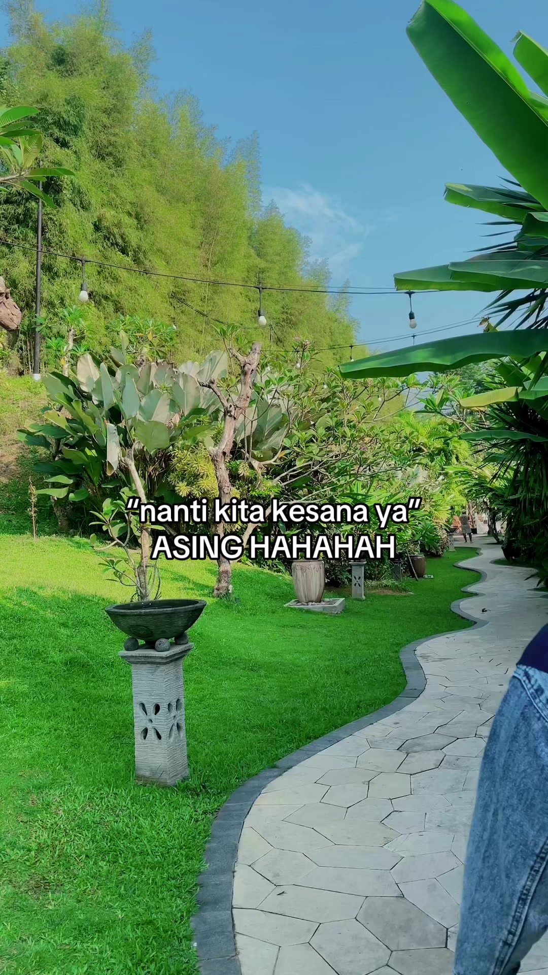 @Moy