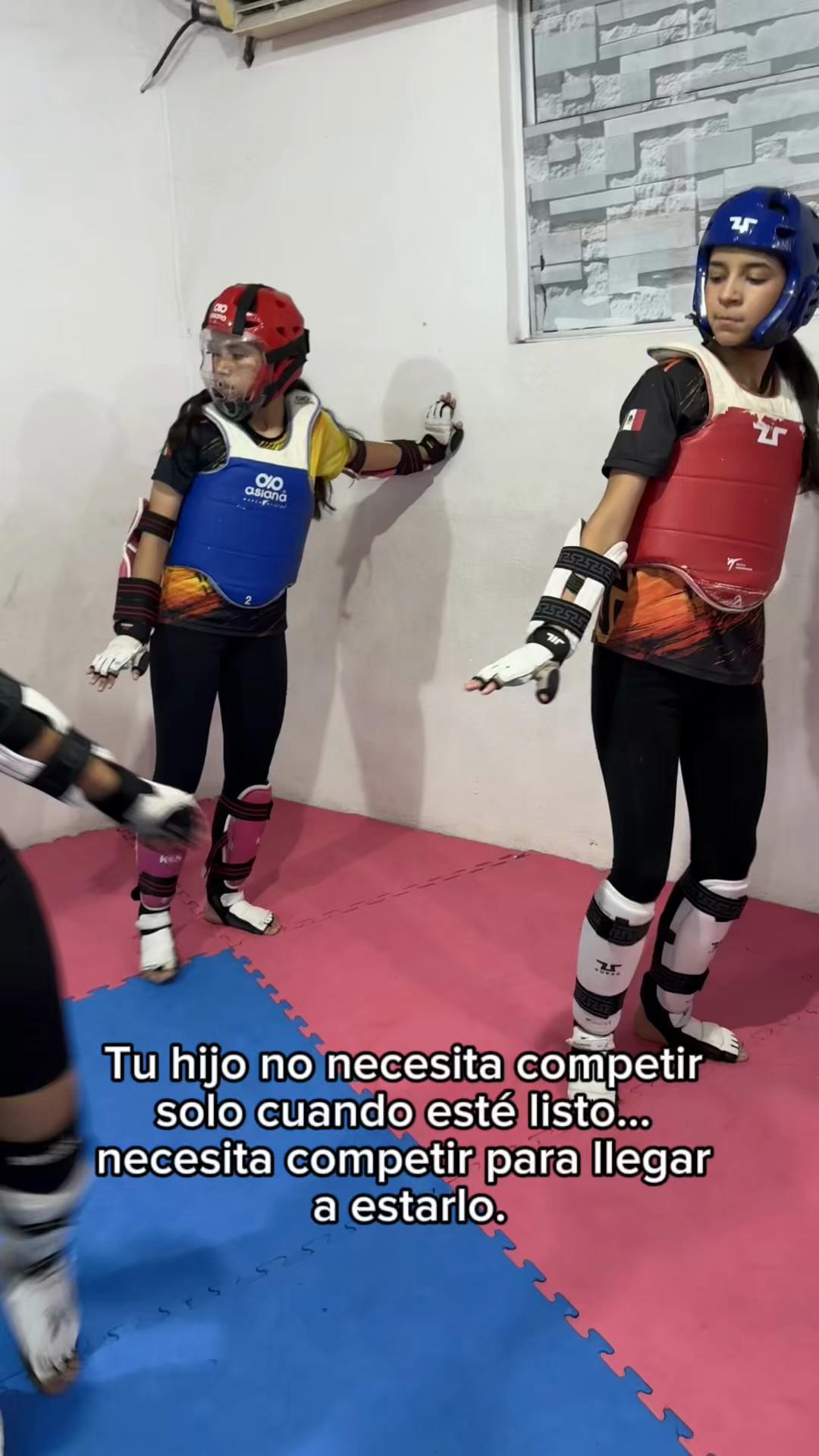 @taekwondolionsteam