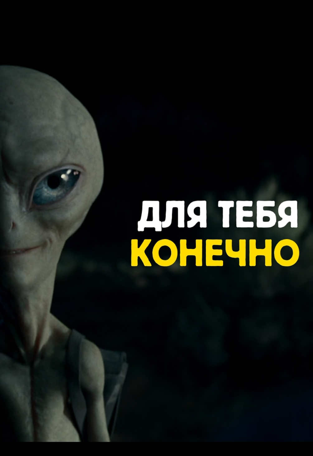 @CineReels