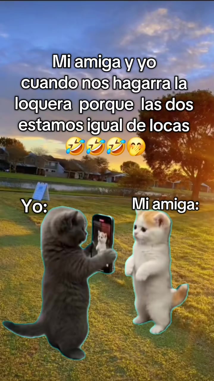 @🦊💗³⁶⁰⁻ץ𝑳𝒊𝒍💗