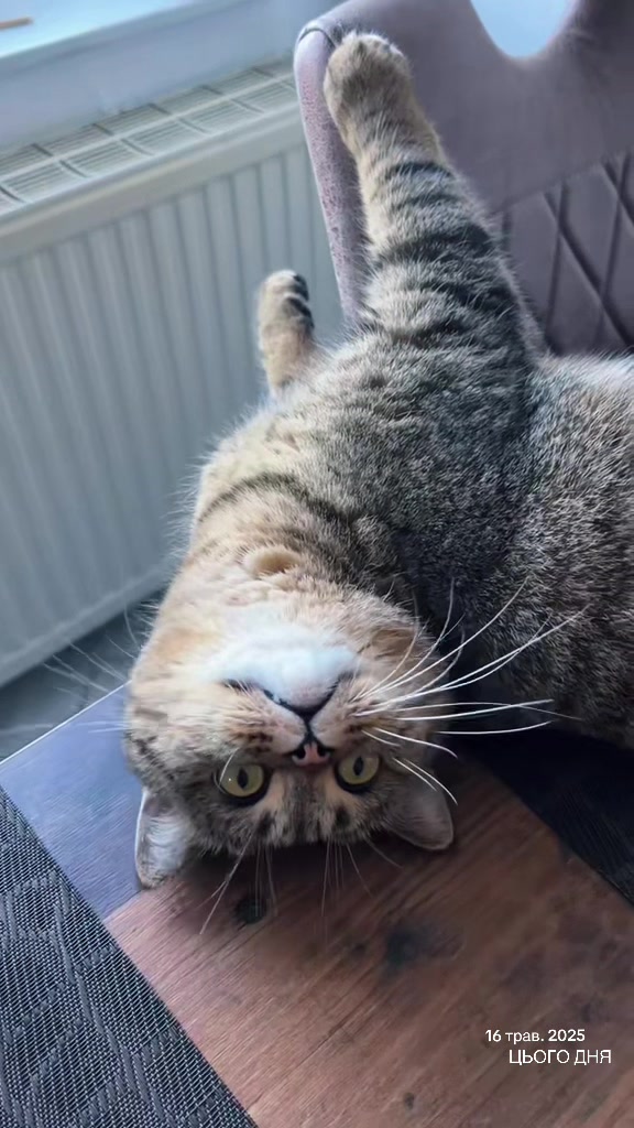 @Джоні 😻