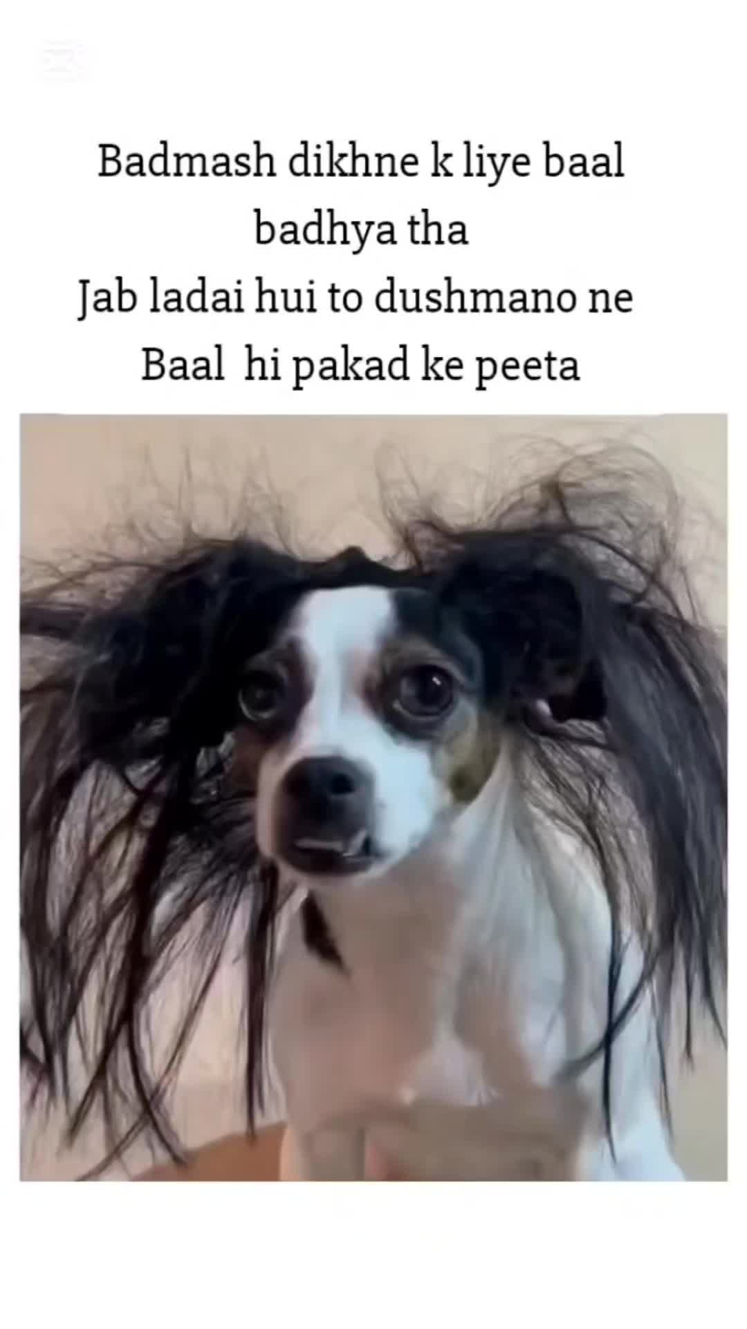 @funnymem
