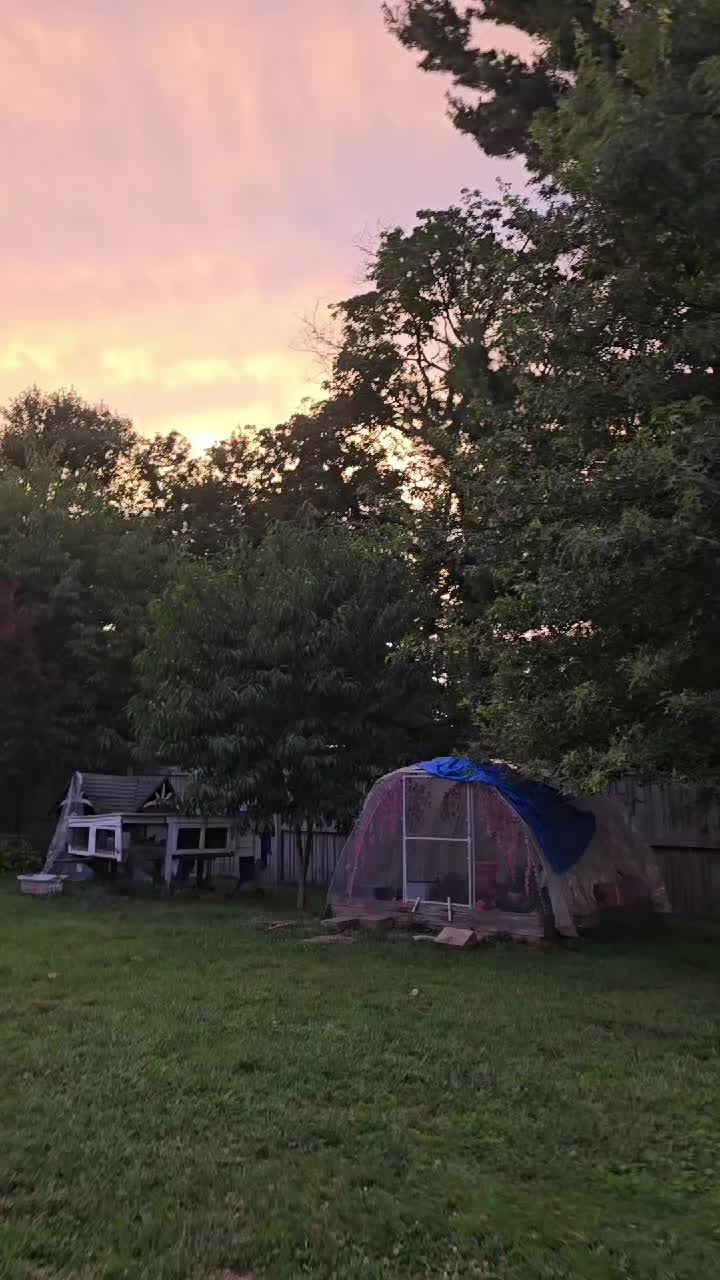 @ActiveMommy