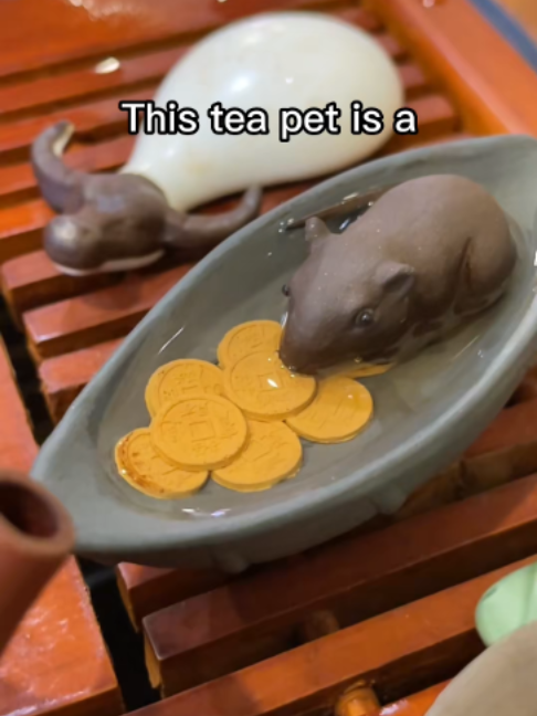 @Jesses Teahouse