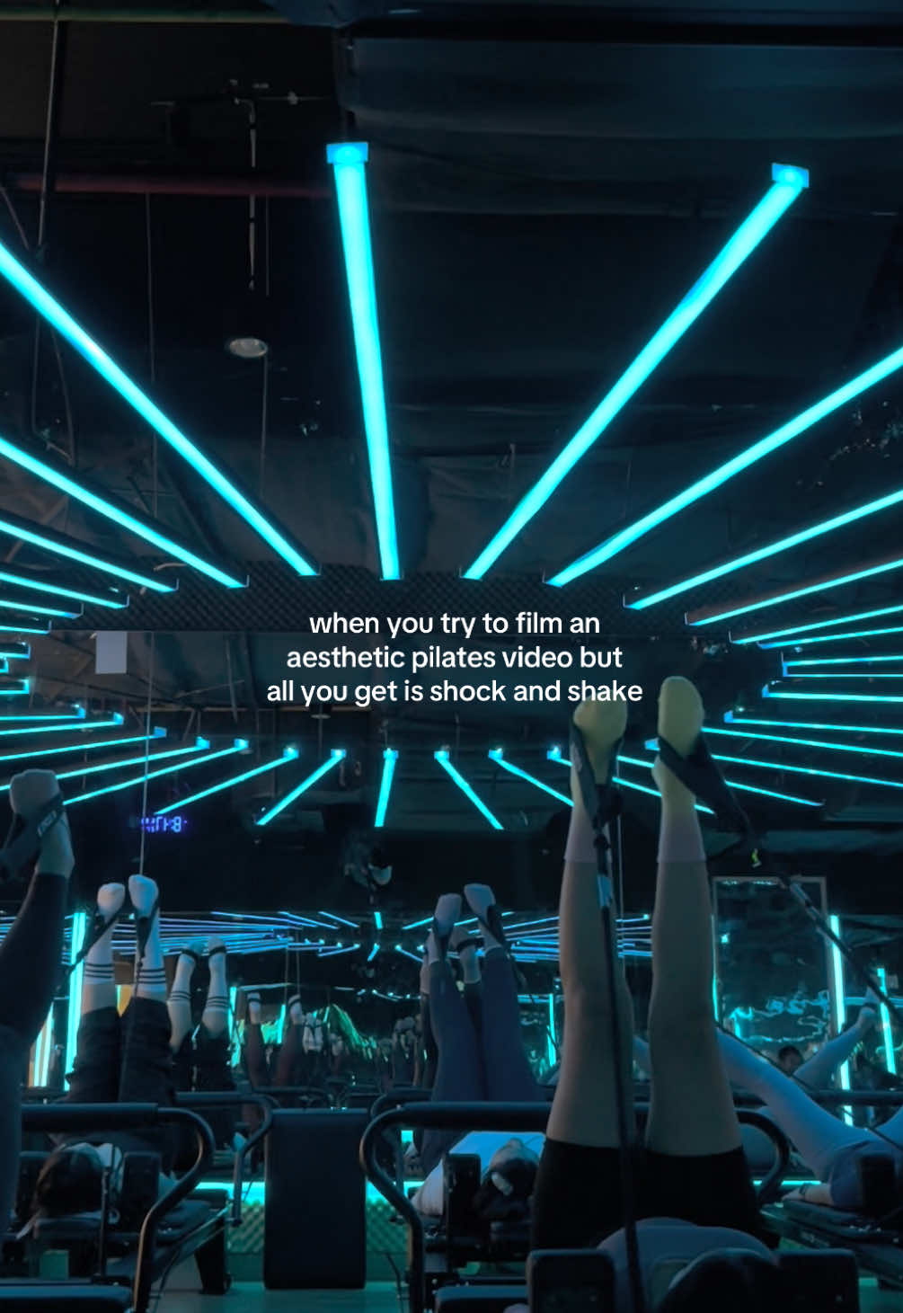 @˚ʚ₍ᐢ. ̫.ᐢ₎