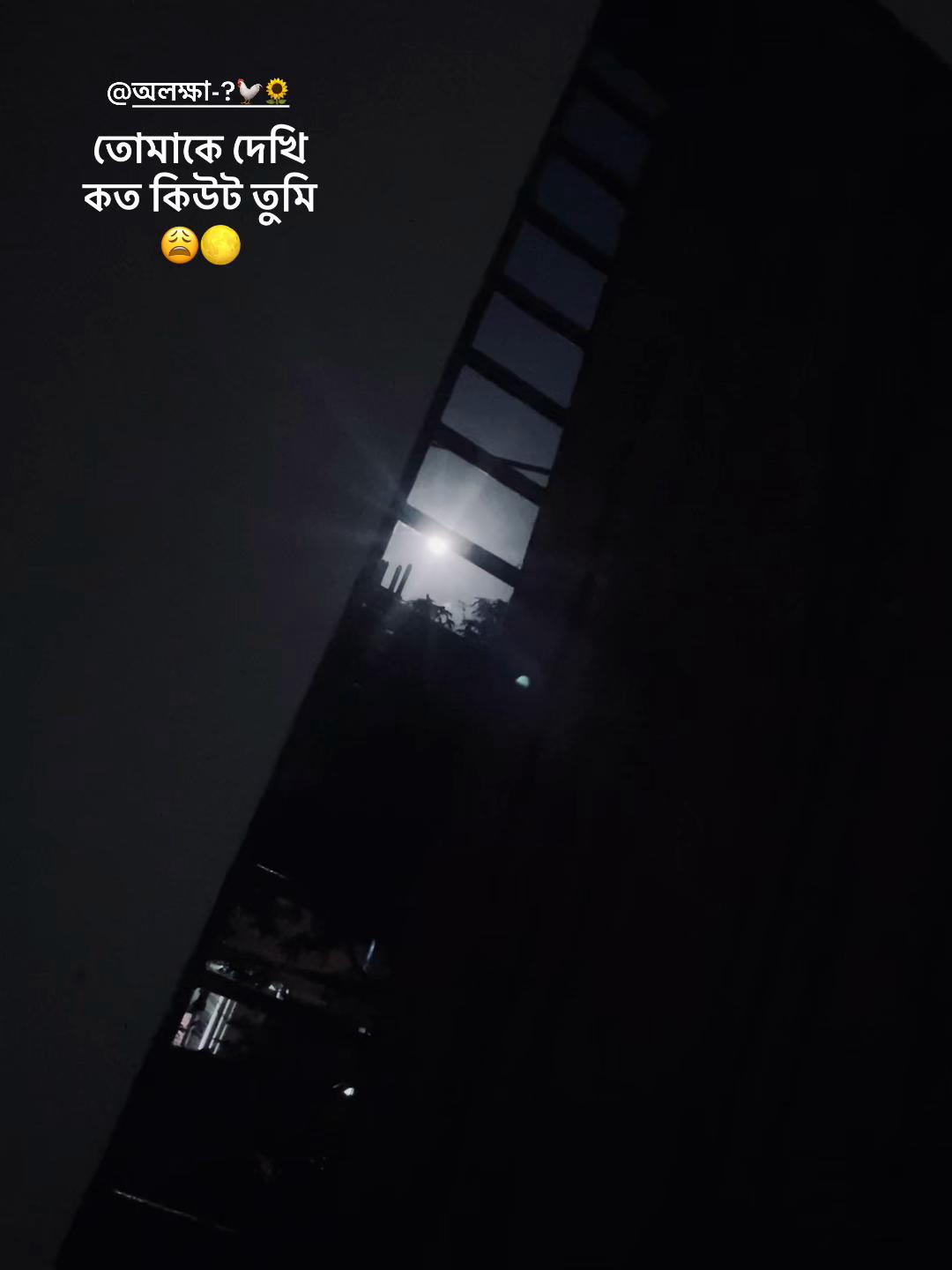 @অলক্ষী-!🦢🪞✨