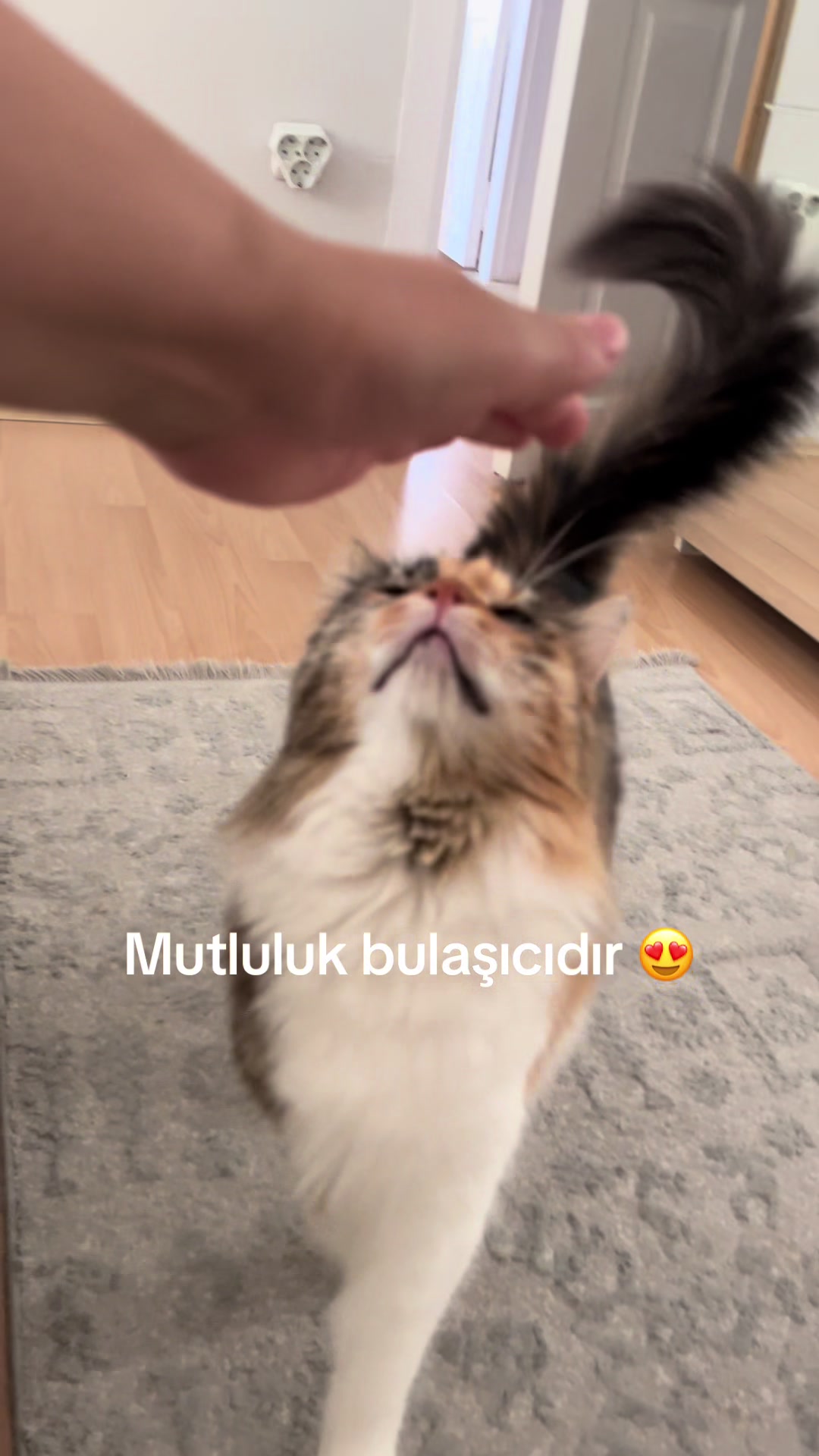 @konusankediminnos