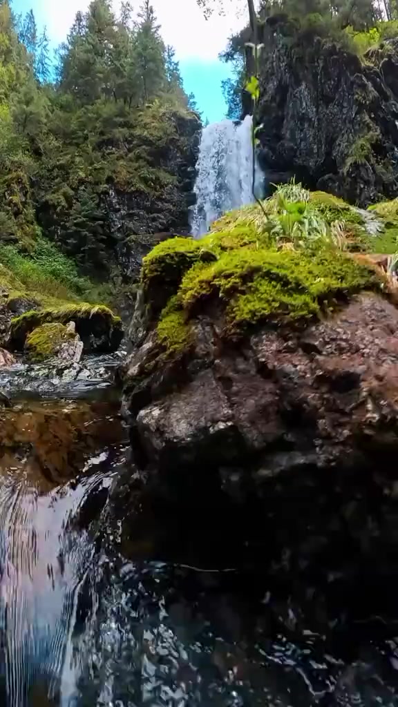 @واثقه بالله