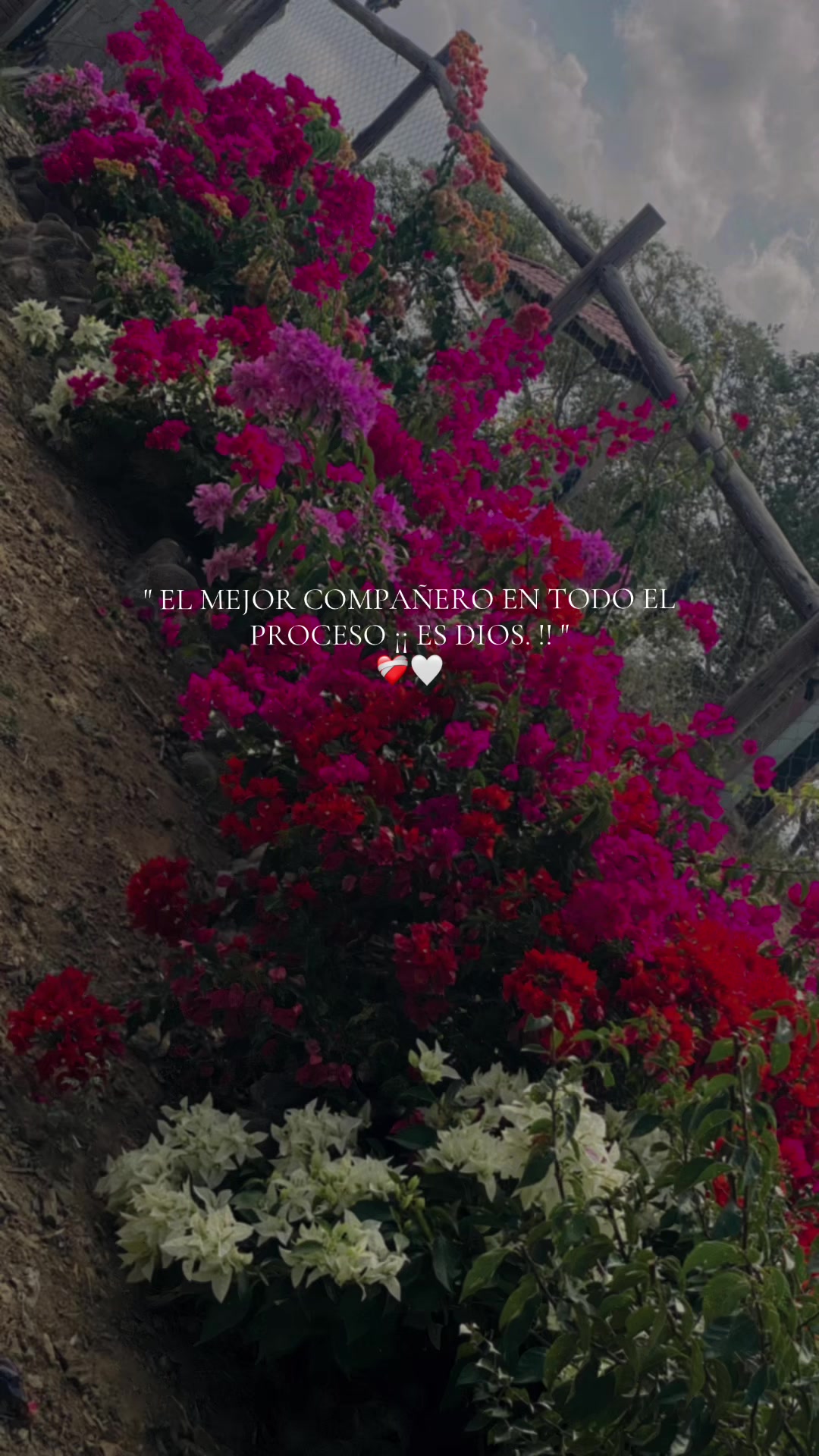 @Gloria aguilar