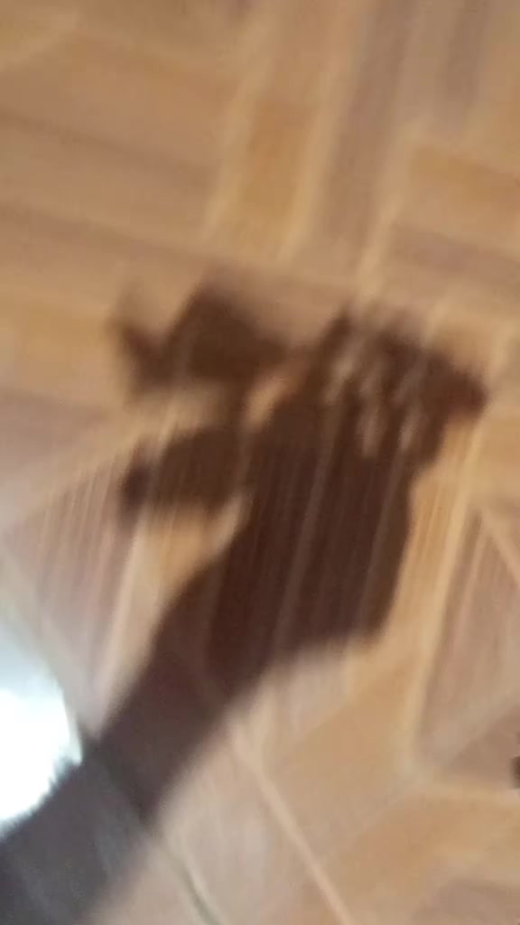 @RAIKØU