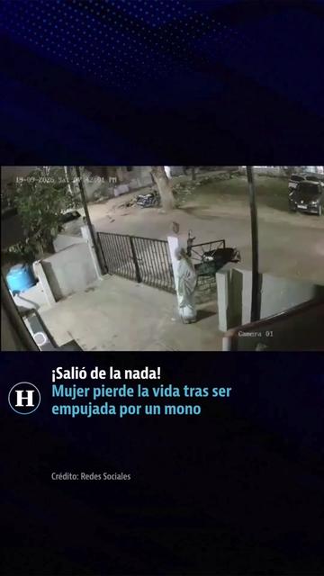 @elheraldodemexico